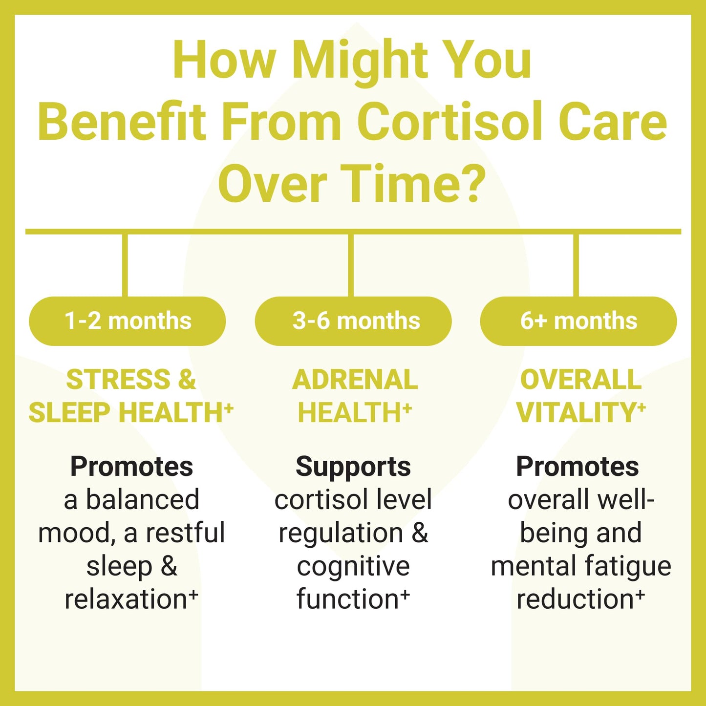Luma Nutrition Cortisol Reducer and Manager - Ashwagandha + L-Theanine - Cortisol Supplements for Women and Men - Stress Relief, Restful Sleep, Detox, Lower and Control - 60 Capsules
