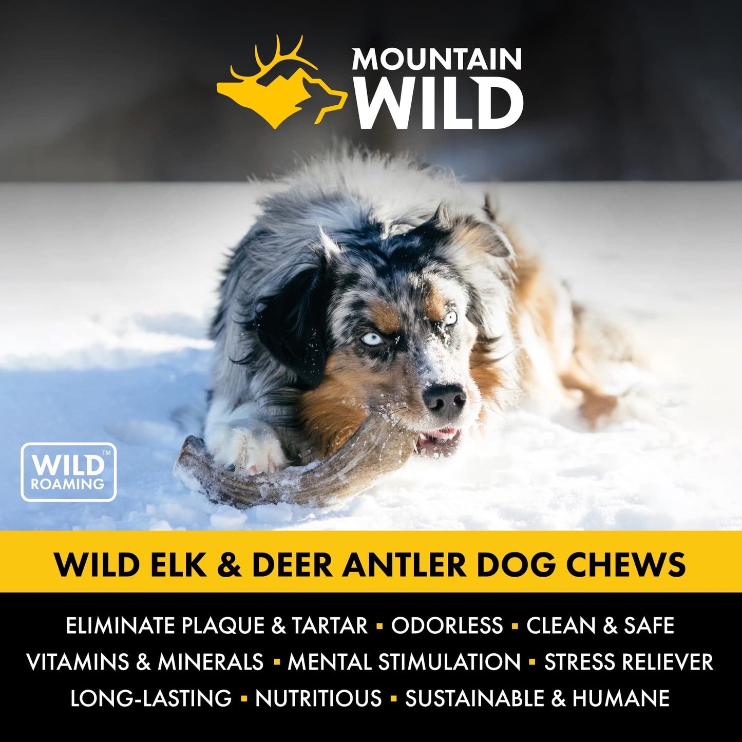 MOUNTAIN WILD Split Elk Antler Dog Chews for Aggressive Chewers – Naturally-Shed, Long-Lasting, Odorless, Mineral-Rich – No Fillers, No Preservatives – Supports Dental Health – Large Breeds (Jumbo)