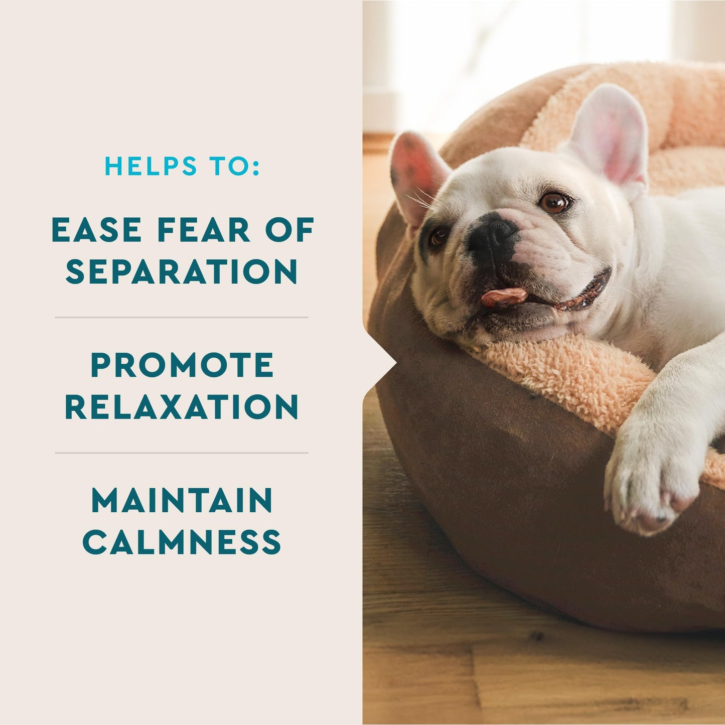VetIQ Calming Support Supplement for Dogs, Calming Chews Help Manage Stress and Promote Relaxation, Anxiety Relief for Dogs, Made in The USA, 60 Count