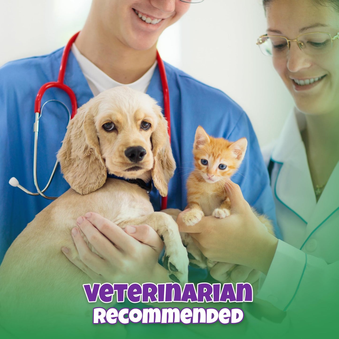 Natural Dog & Cat UTI Treatment with Cranberry & D-Mannose, Bladder, Kidney, Incontinence Support, Healthy Urinary Tract for Dogs, Best Cat Urinary Tract Infection Treatment, Easy-to-Use Drops, 2 oz