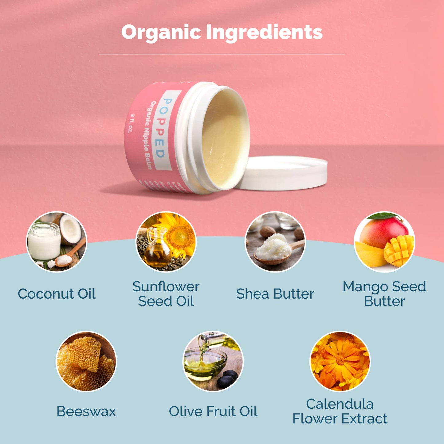 Popped Organic Nipple Butter | Made in the USA | Moisturizing Nipple Cream for Sore, Dry, and Cracked Nipples | Postpartum Essential Balm for Breastfeeding, Nursing (2 fl oz)