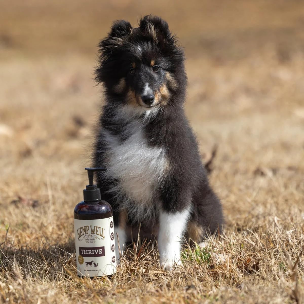 Hemp Well Thrive Oil for Dogs and Cats – Supports Hip, Joint, and Heart Health, Promotes Immune System, and Promotes Healthy Skin from Seasonal Allergies, Organically Sourced - 16 Ounces