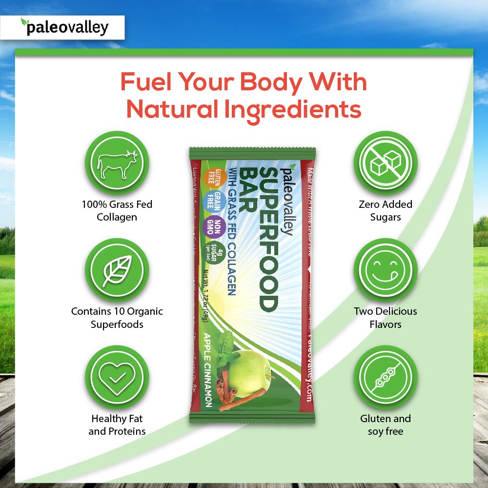 Paleovalley: Superfood Bars with Grass Fed Bone Broth Protein - Apple Cinnamon - 12 Bars - All Organic Ingredients with 10 Antioxidant-Rich Superfoods - No Gluten, Grains, Soy or Added Sugar
