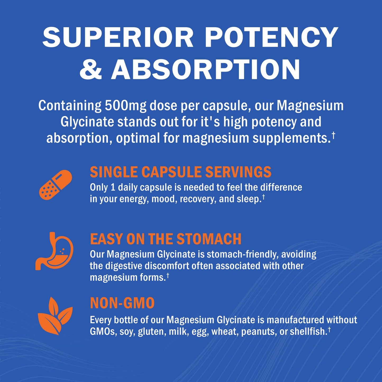 Magnesium Glycinate - High Absorption Magnesium Supplement 500mg Per Serving for Stress Relief, Sleep, Heart and Bone Health, Nerve Support - Non-GMO, Gluten-Free, Gentle on Stomach, 240 Capsules