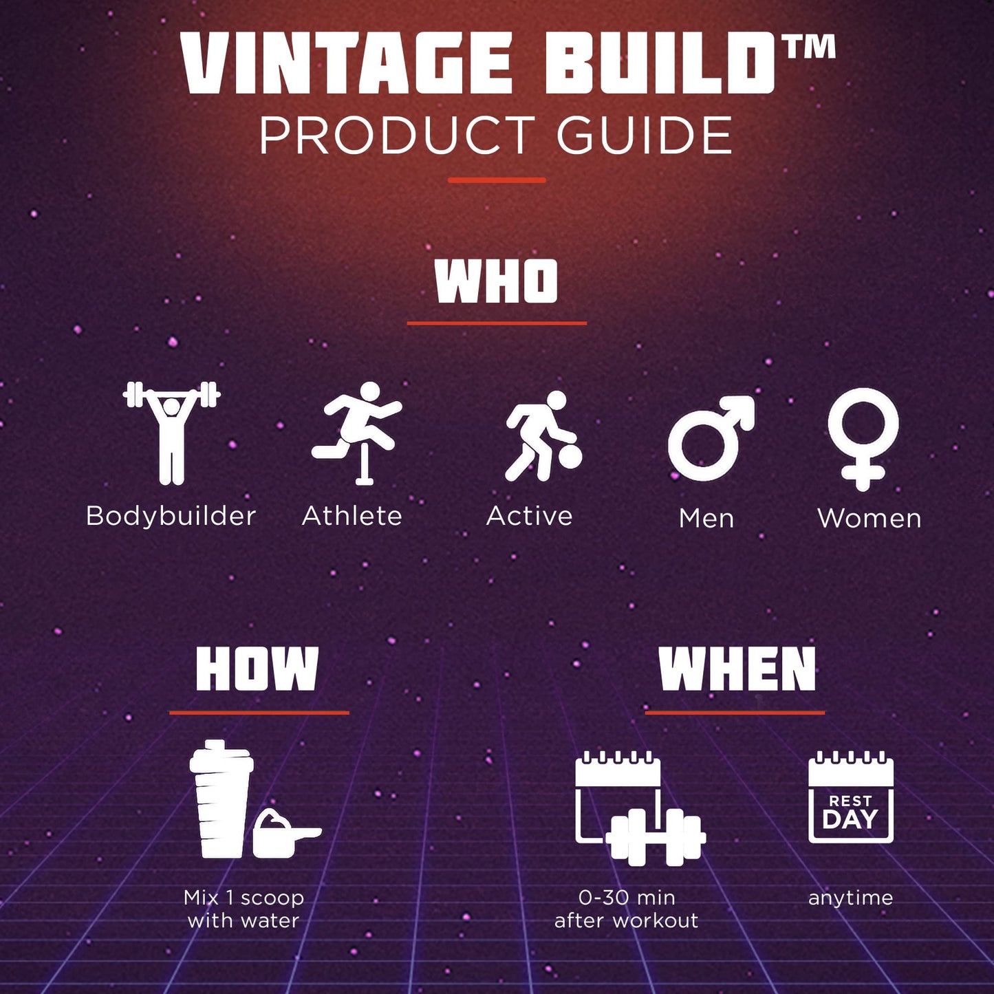 Vintage Build β Post Workout Recovery & Muscle Building Powder Drink for Muscular Strength & Growth - Reduces Soreness β Creatine Monohydrate, BCAAs, L-Glutamine β Fresh Berries Flavor β 377g