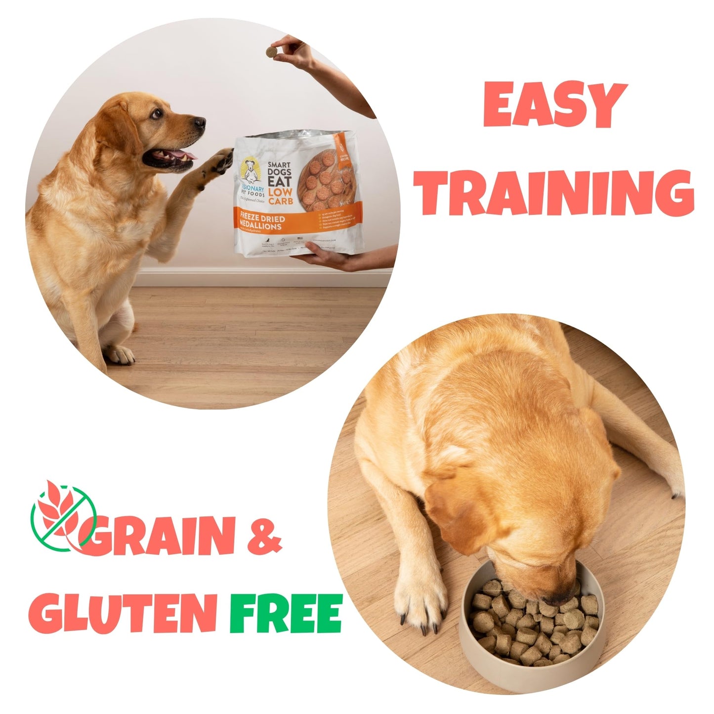 Visionary Pet Foods Beef Freeze Dried Real Meat Dog Treats, 310x Healthy Treats, Low Carb, Grain Free – Organic, Human Grade Food, Freeze Dried Dog Training Treats, Value Size 25oz