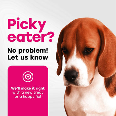 24-in-1 Complete Multivitamin Treats for Dogs - PhD Endorsed 8 Vitamins, Biotin, Probiotics, Glucosamine - Daily Wellness, Immunity, Skin & Coat, Mobility 140 Treats - Bacon Flavor - Made in USA