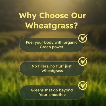 Organic Wheatgrass Capsules 500 mg, 90 Capsules | Vegan, Gluten-Free | Green Superfood Supplement for Detox, Energy, Digestion & Immune Support