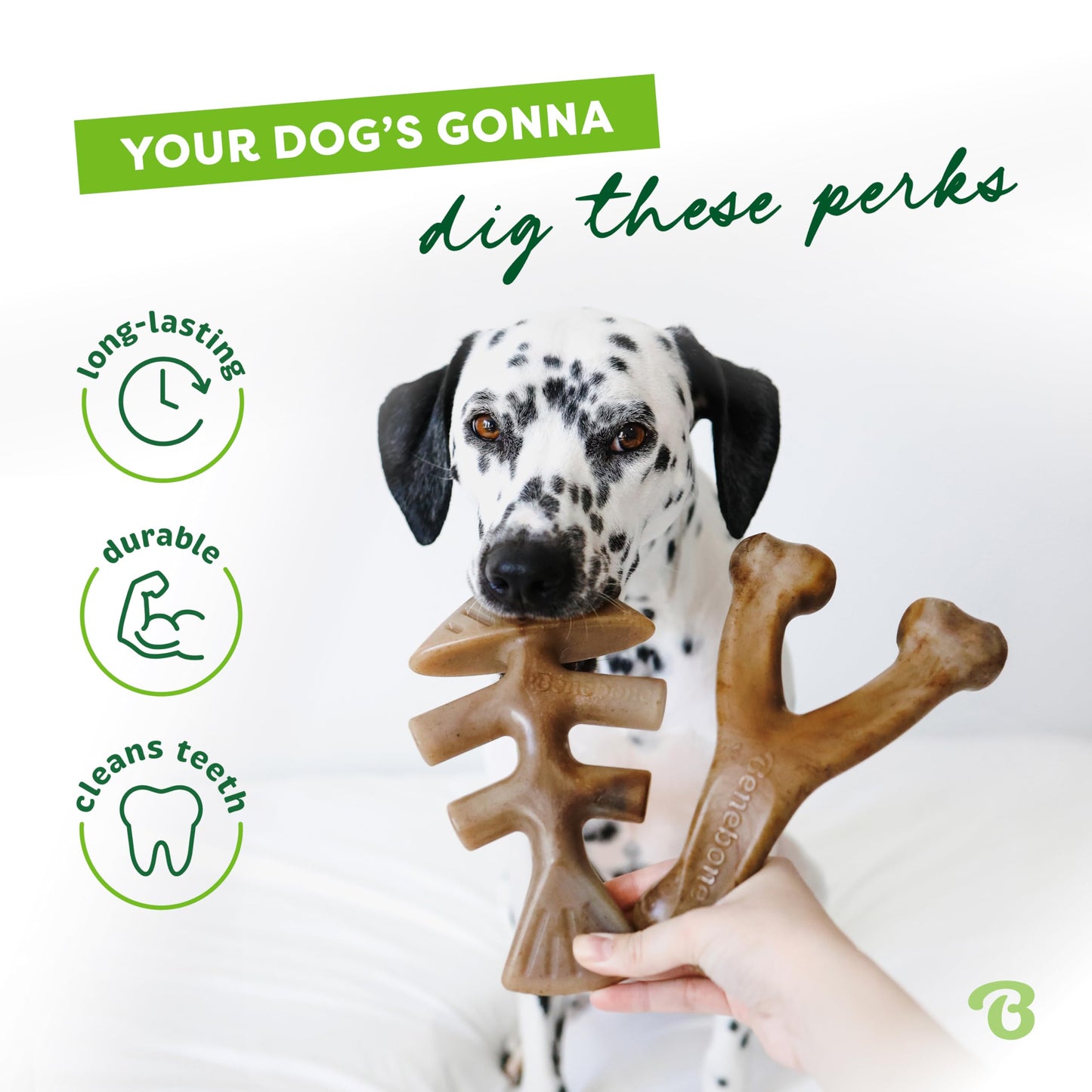 Benebone Set of 1 Fishbone/Wishbone Durable Dog Chew Toys, Real Fish, Real Bacon, Made in USA
