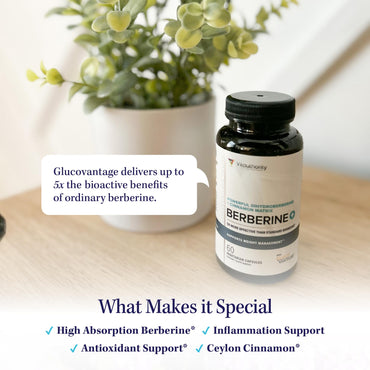 Vitauthority Berberine with Ceylon Cinnamon Supplements | High Absorption Dihydroberberine for Balance and Support | Vegan Powerful AMPk Activator & Antioxidant | 30 Servings