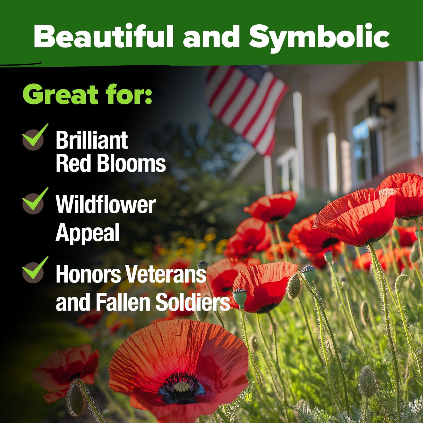 HOME GROWN American Legion Red Poppy Seeds - 6,000 Vibrant Wildflower Seeds for Planting Outdoors - Perennial Poppy Flowers - Memorial Garden & Pollinator Friendly (Papaver rhoeas)