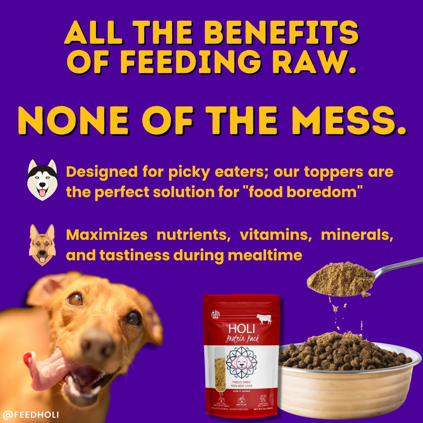 HOLI Single Ingredient Dog Food Protein Topper - Made in USA – Human-Grade Freeze Dried Dog Food Mix in Topping – Grain Free, Gluten Free – 100% All Natural