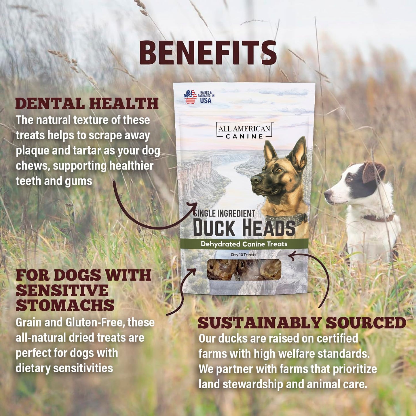 All American Canine 10 Natural Duck Head Dog Treats – Single Ingredient, Dehydrated & Digestible – Low-Fat, High-Protein Chew for Training & Dental Health – Made in USA