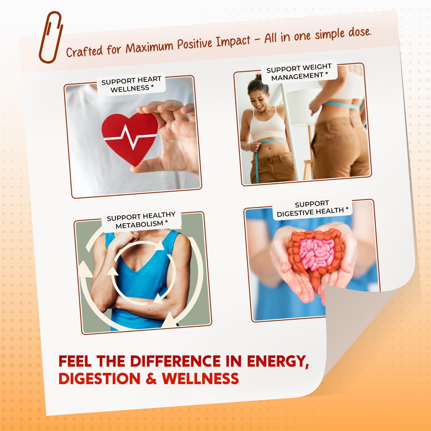 PEAKPURY Berberine Cinnamon Apple Cider Vinegar Turmeric - Overall Wellness Support- Made in USA