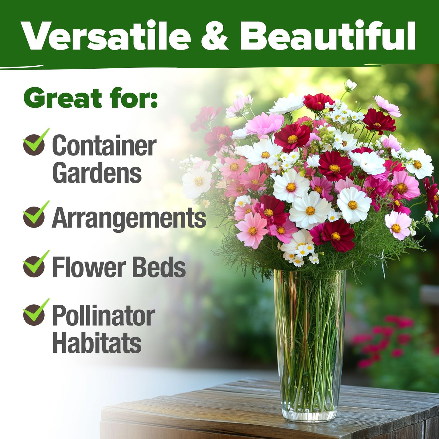 HOME GROWN Cosmos Flower Seeds Bulk Pack for 2025 (1.8 oz) 8,000+ π‘π’π‘-ππ π’ π¨π¦π-π¦π’π¨π₯πππ Heirloom Annual Wildflower Seeds β Pollinator-Friendly Mix for Pollinators & Outdoor Gardens