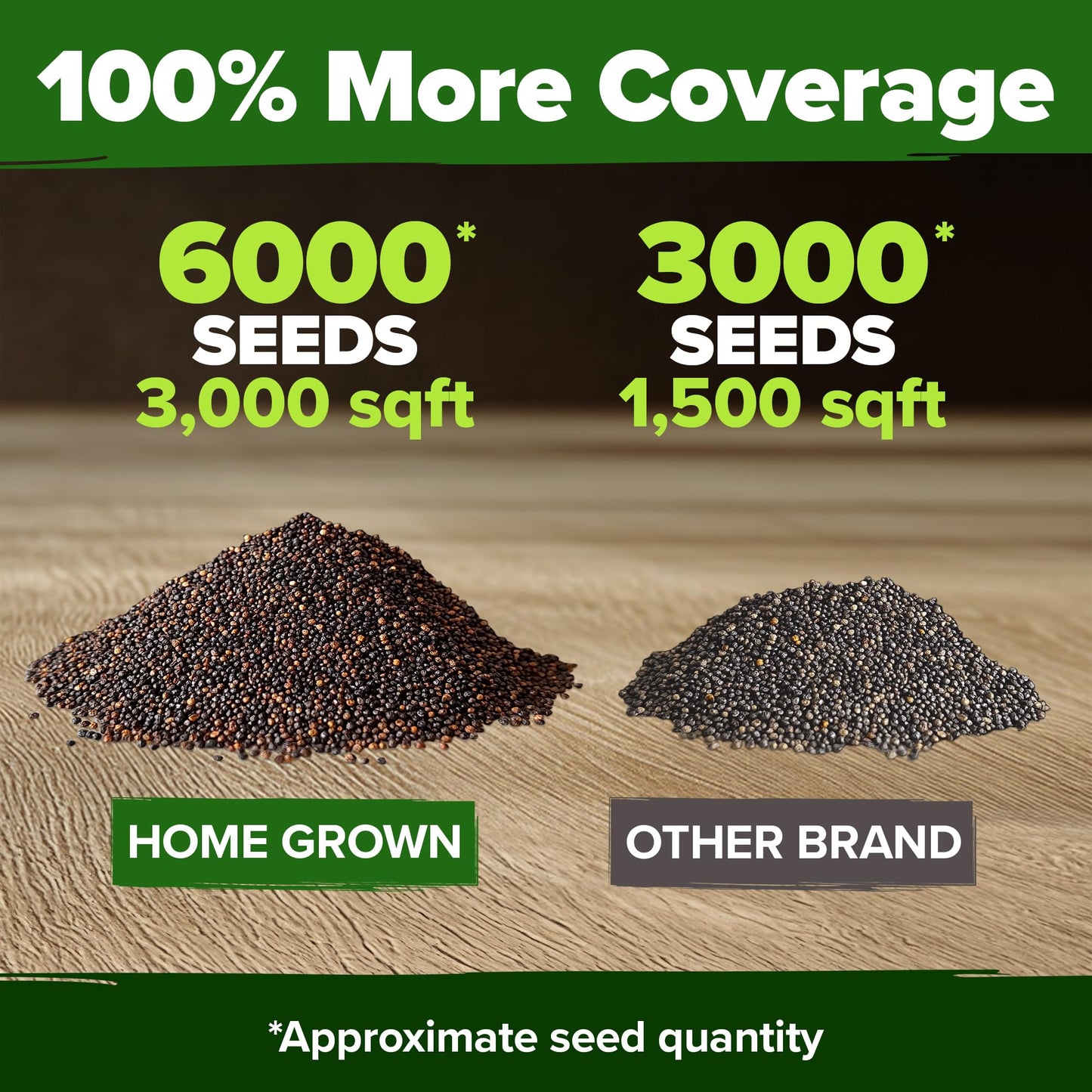 HOME GROWN American Legion Red Poppy Seeds - 6,000 Vibrant Wildflower Seeds for Planting Outdoors - Perennial Poppy Flowers - Memorial Garden & Pollinator Friendly (Papaver rhoeas)