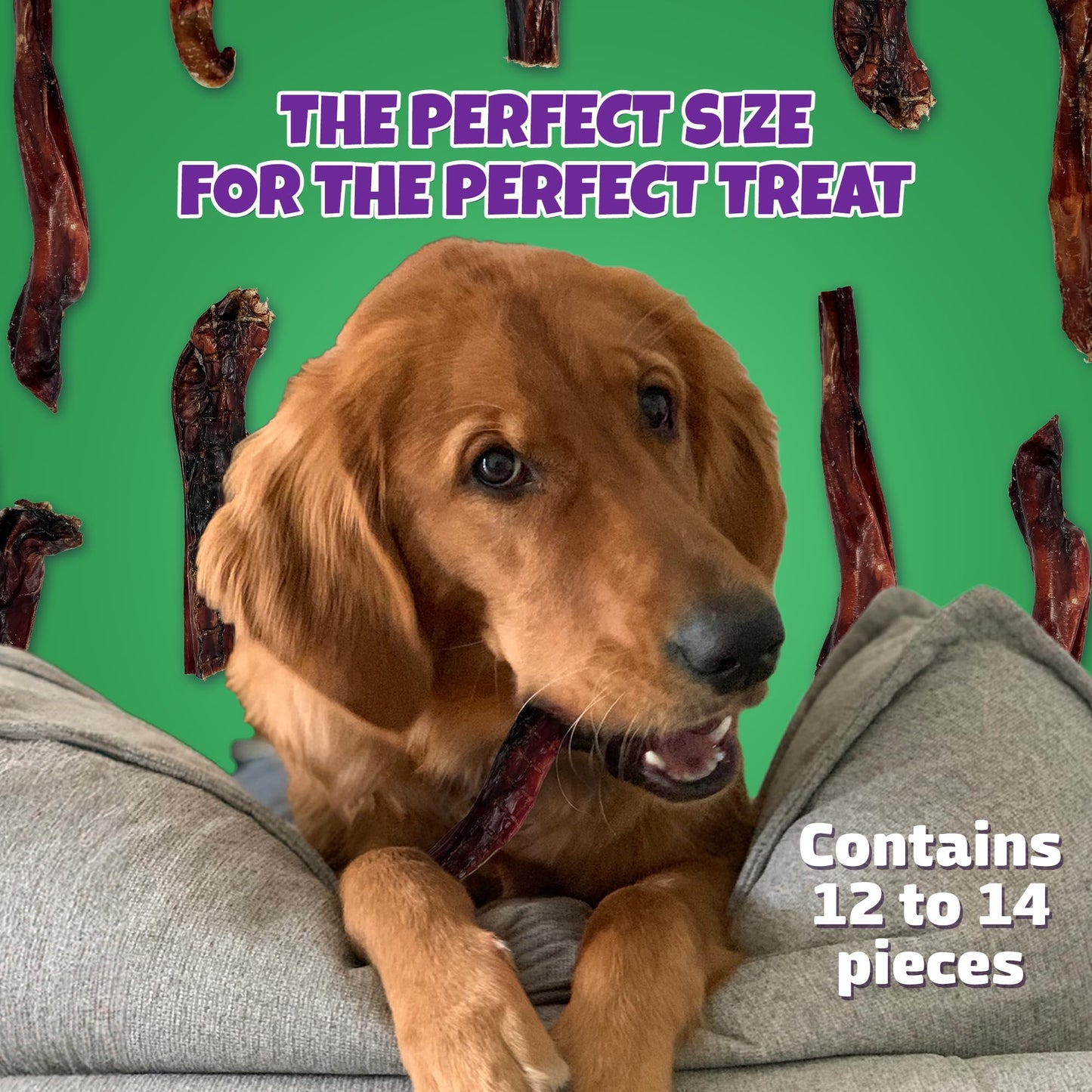 Bully Sticks for Dogs Sourced & Made in USA, All-Natural Taste, Shape, & Color, 6 inch Pizzle Sticks, Bully Bones for Small and Medium Dogs, Includes 12 to 14 Rawhide-Free Treats Per Bag, 8oz
