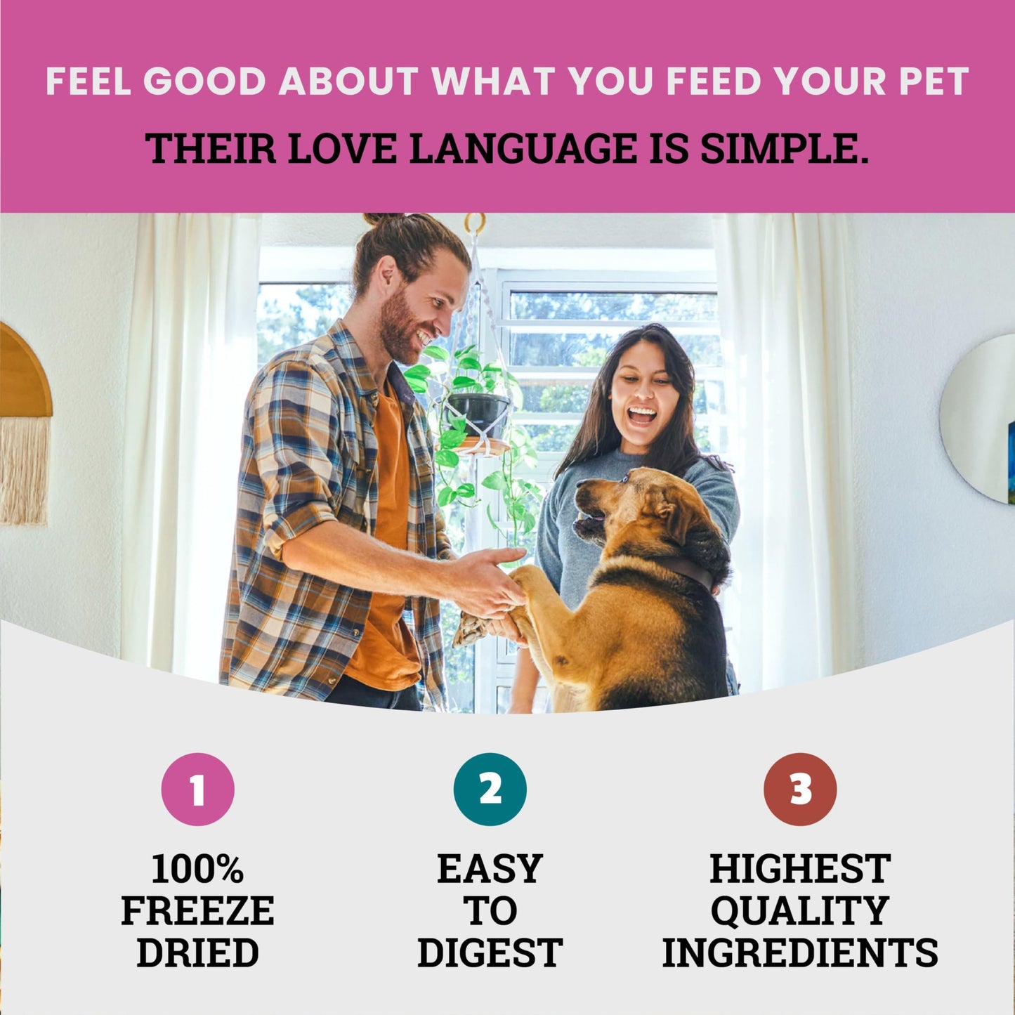 etta says! Eat Simple Freeze-Dried Dog Treats - 100% Natural Variety Pack - Duck, Turkey, and Lamb Protein - Made in USA (2.5 oz Pack of 3)