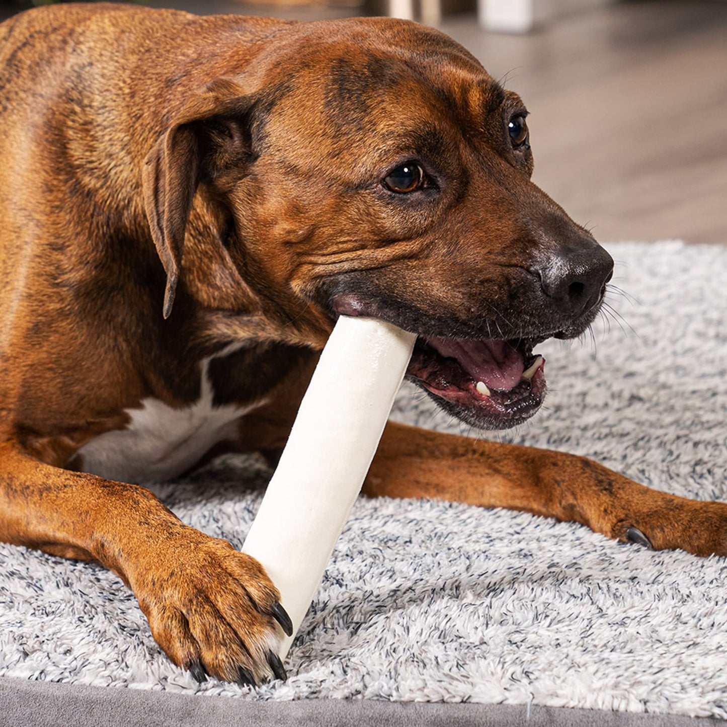 Pet Factory 100% Made in USA Beefhide 8" Rolls Dog Chew Treats - Natural Flavor, 15 Count/1 Pack