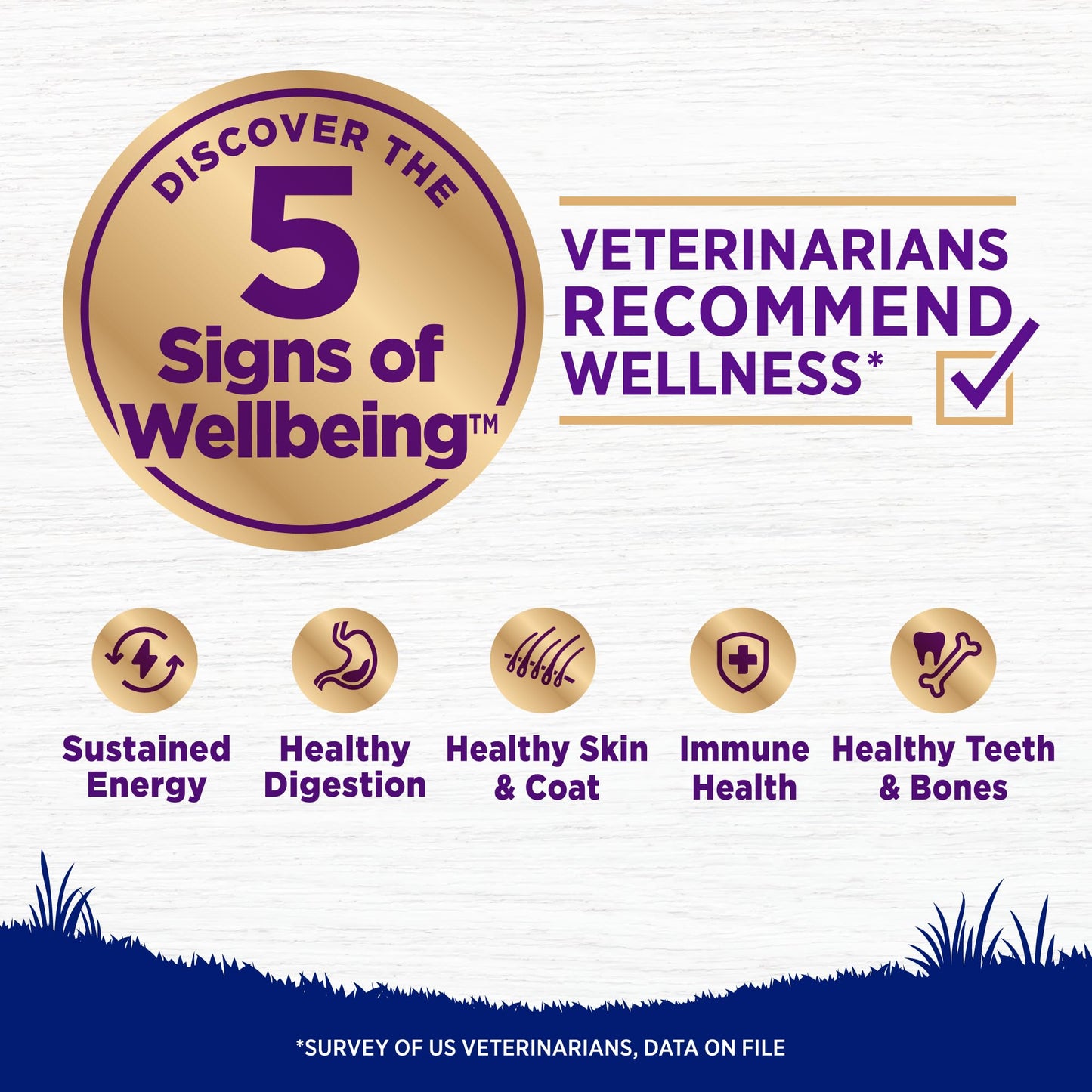 Wellness Complete Health Dry Dog Food, Wholesome Grains, Natural, Chicken & Brown Rice Recipe