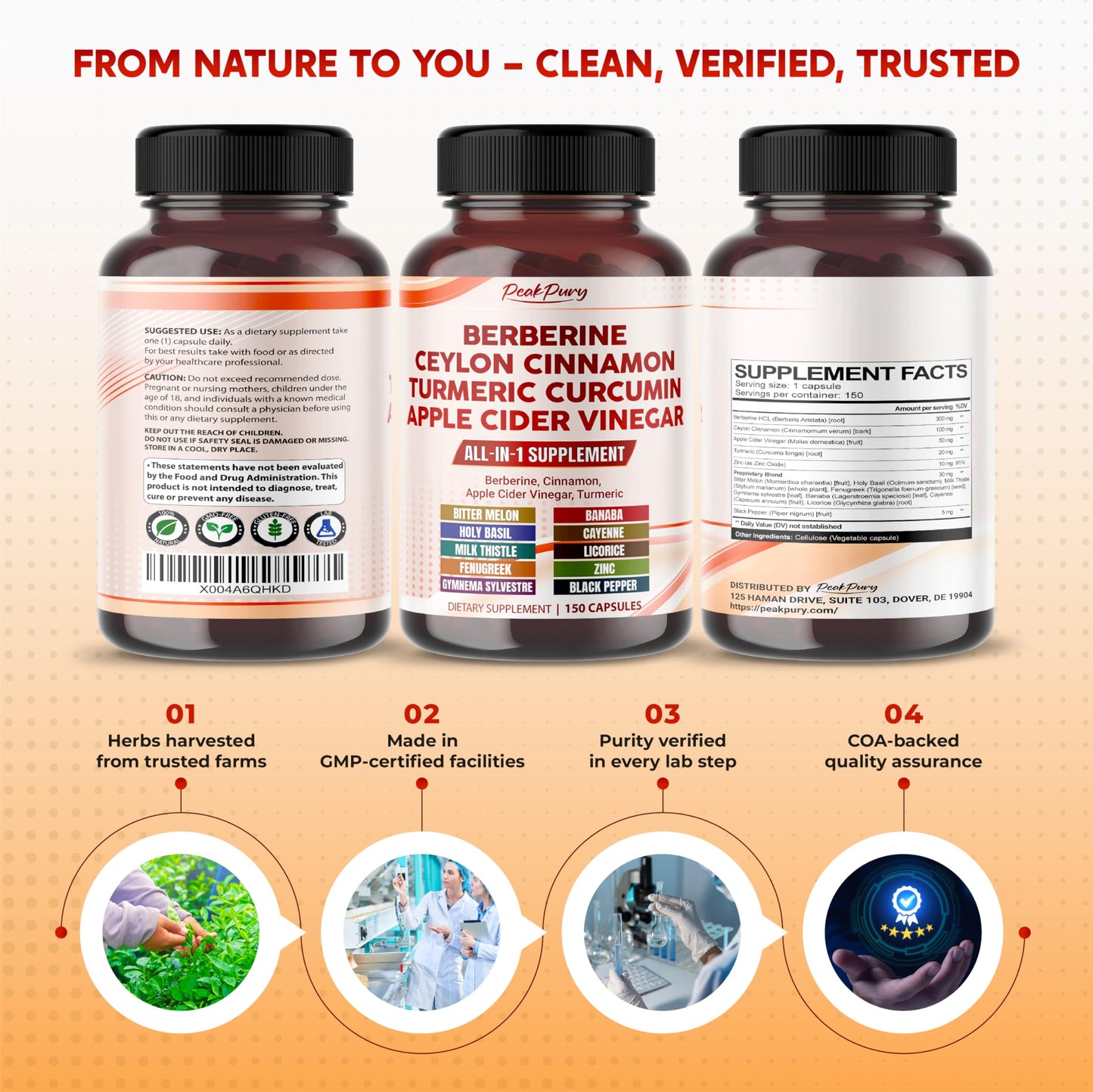 PEAKPURY Berberine Cinnamon Apple Cider Vinegar Turmeric - Overall Wellness Support- Made in USA