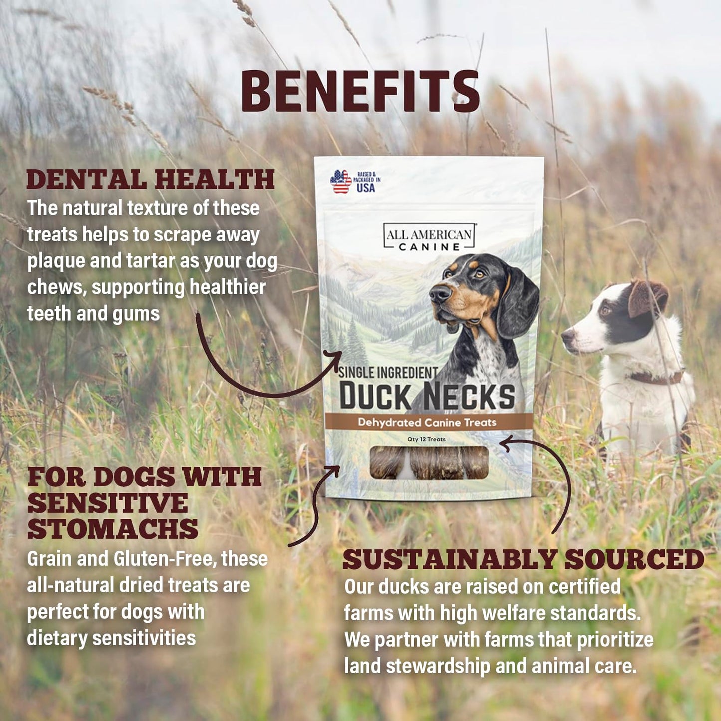 All American Canine 12 Natural Duck Neck Dog Treats – Single Ingredient, Dehydrated & Chewy – Low-Fat, High-Protein Training Reward – Made in USA