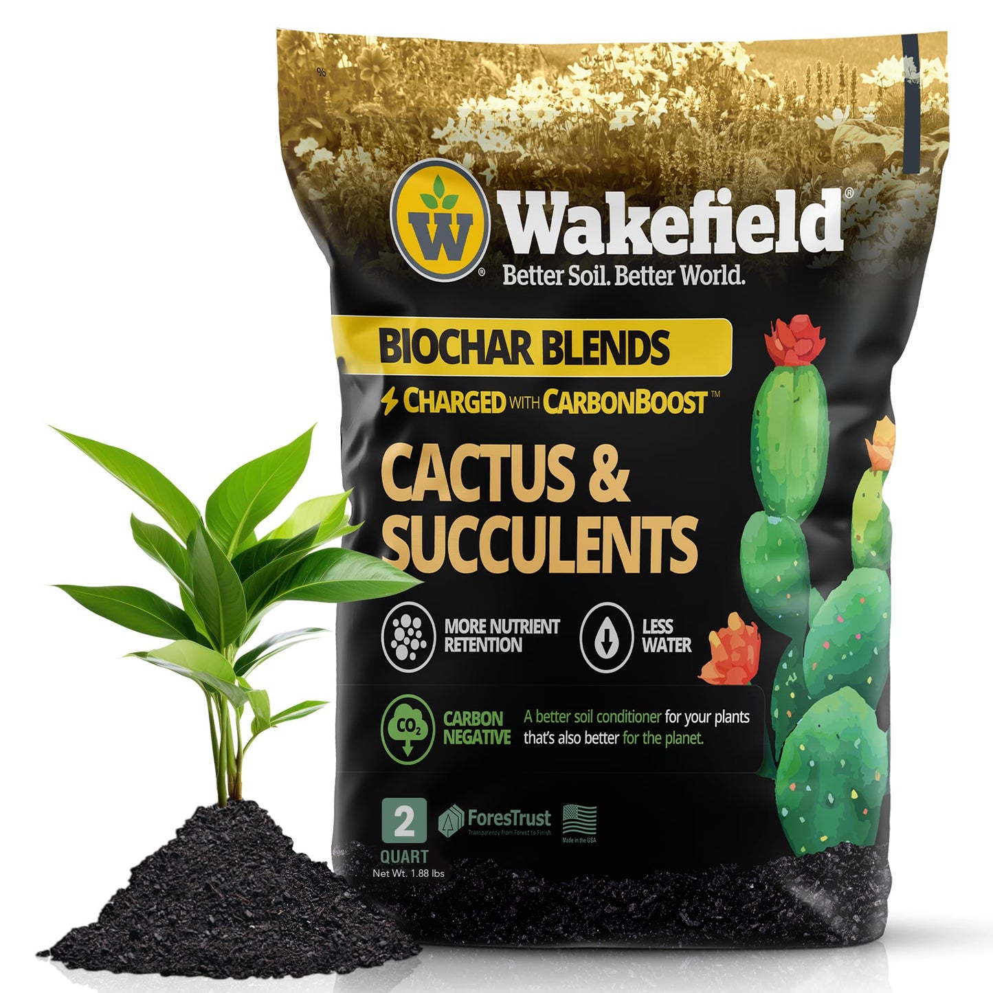 Wakefield Biochar Blend Potting Mix for Cactus & Succulent – Premium Potting Soil Blend with CarbonBoost Technology for Superior Drainage, Moisture Retention & Root Growth – 2 QT Organic Soil Mix