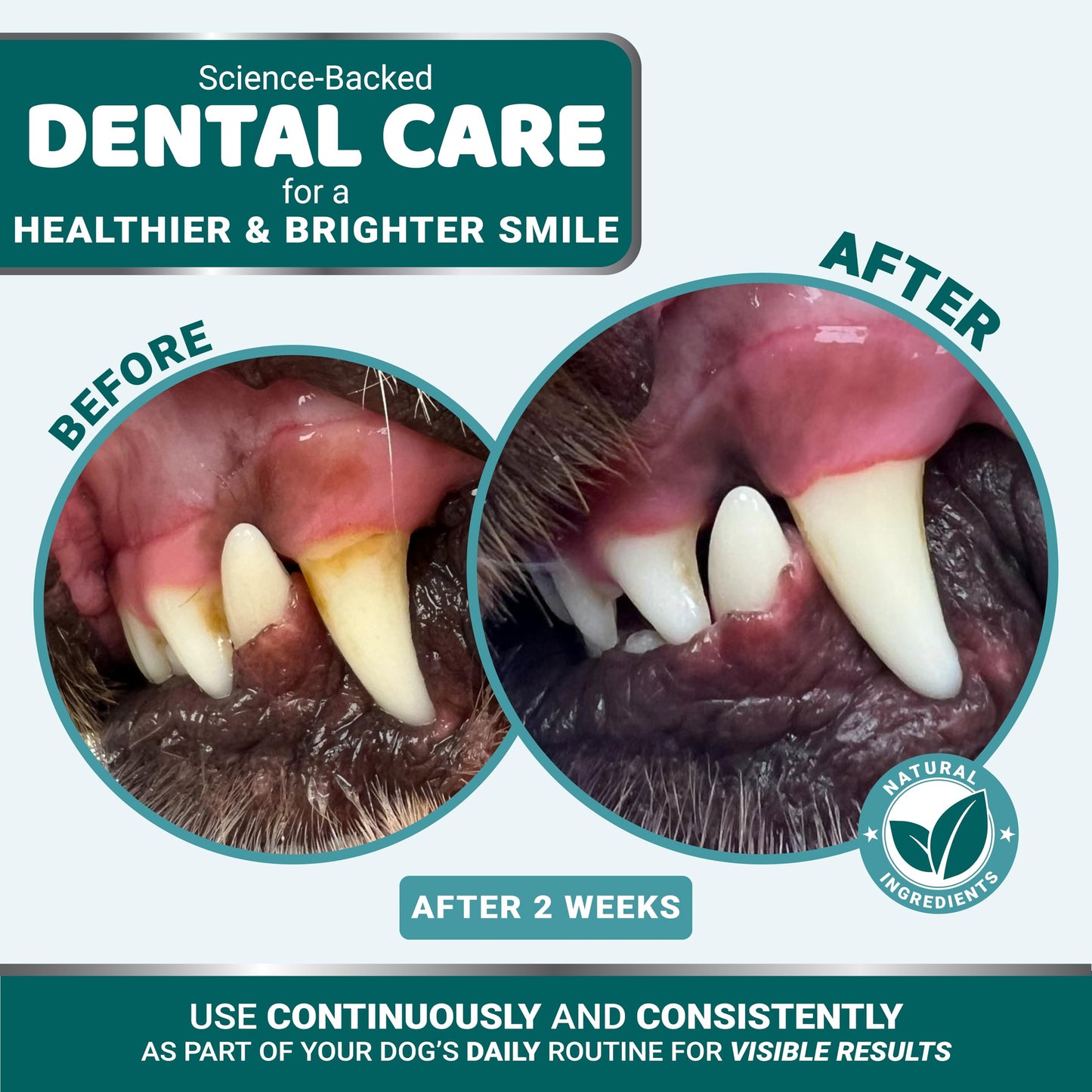 Dog Dental Powder - Breath Freshener - Dog Teeth Cleaning Powder - Tartar and Plaque Off Remover for Dogs - Probiotics - Multivitamin Blend Pet Oral Care Vitamins and Supplements - All Breeds & Sizes