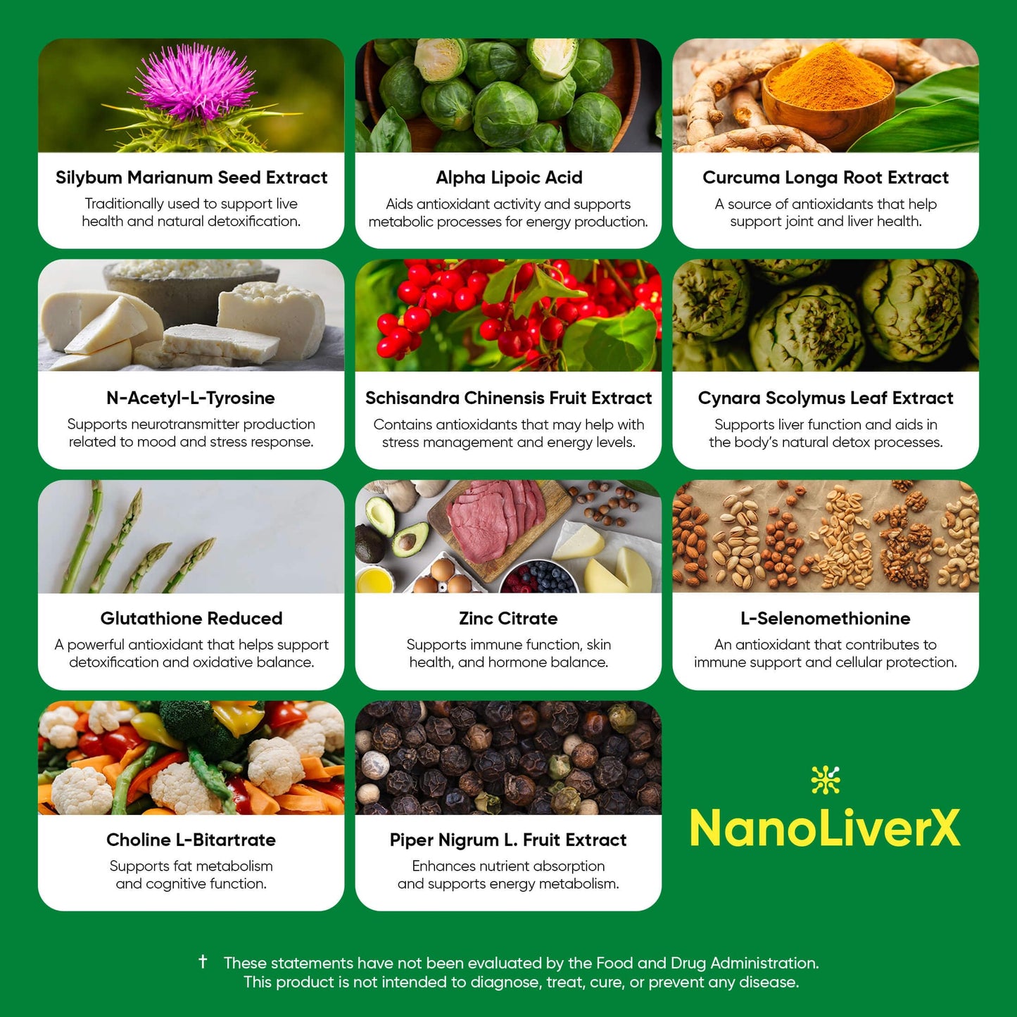 NANOREVIVE NanoLiverX - Nanoliposomal Silymarin Revitalized Liver Health Liquid Drops - Support Liver Cleanse Detox & Repair - Liver Supplement with Milk Thistle Silymarin Extract, Artichoke and More
