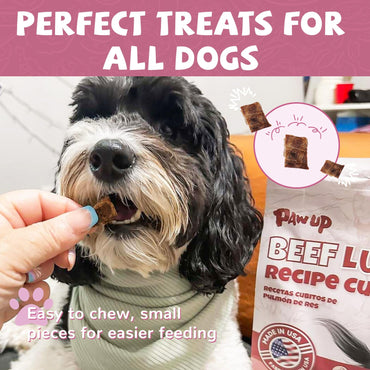 PAWUP Beef Lung Jerky Dog Treats, 2.2 LB Bulk Value Pack, Made in USA, High Protein Dog Snacks, Bite-Sized Training Treats, No Artificial Preservatives