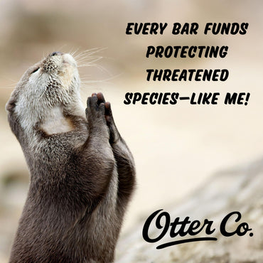 Otter co. Tea Tree and Rosemary Volumizing and Thickening Shampoo Bar - Olive Oil, Green Tea, Nettle, Zinc – Vegan, Sulfate Free & Non Toxic – Women and Mens Shampoo, All Hair Types, Made in USA