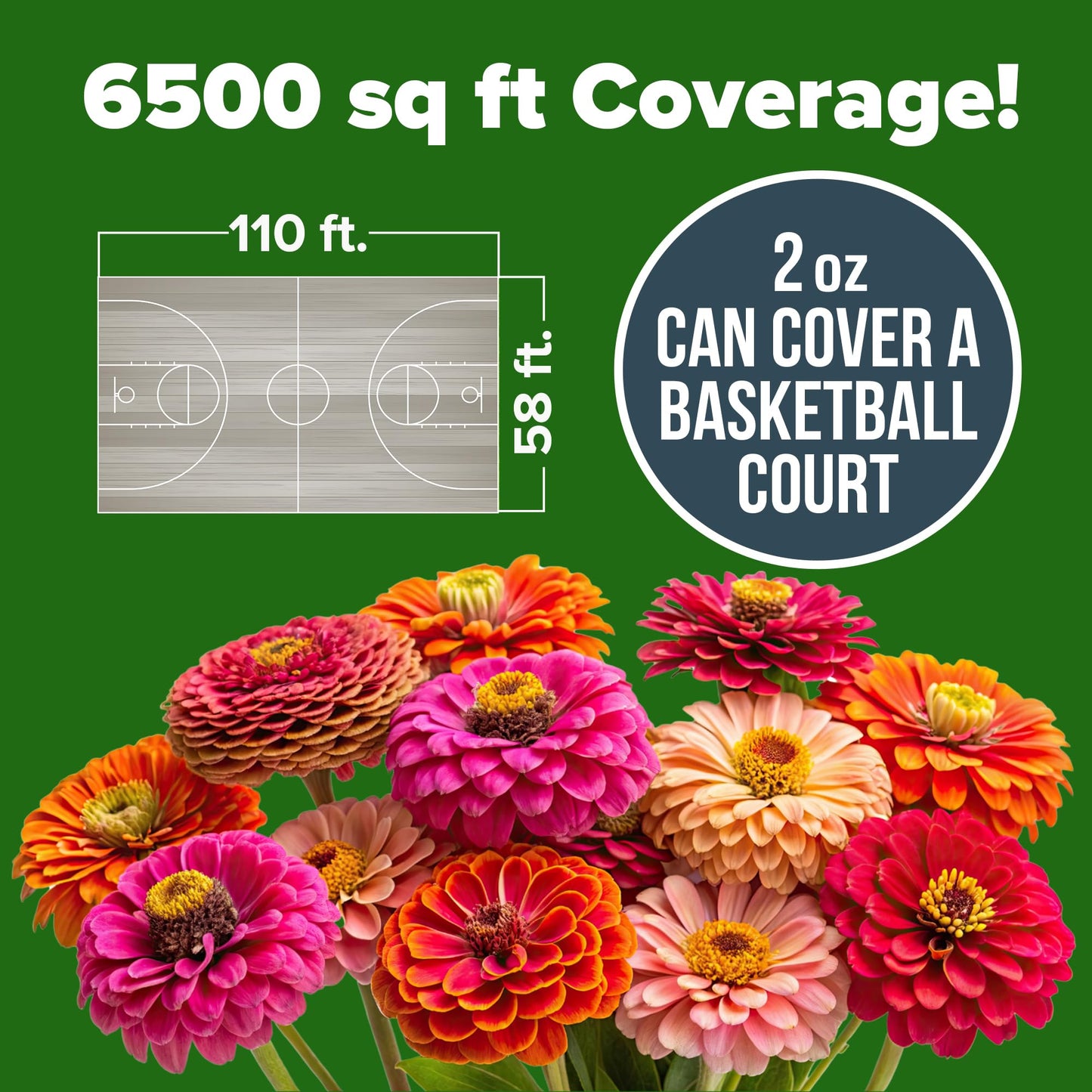 HOME GROWN Zinnia Seeds for 2025 - California Giant Mix - 7,300+ (2 oz) 𝗡𝗢𝗡-𝗚𝗠𝗢 𝗨𝗦𝗔 Plant Wildflower Blooms – Bulk Seeds for Planting Flowers Outside - Pollinator Gardens (Zinnia elegans)