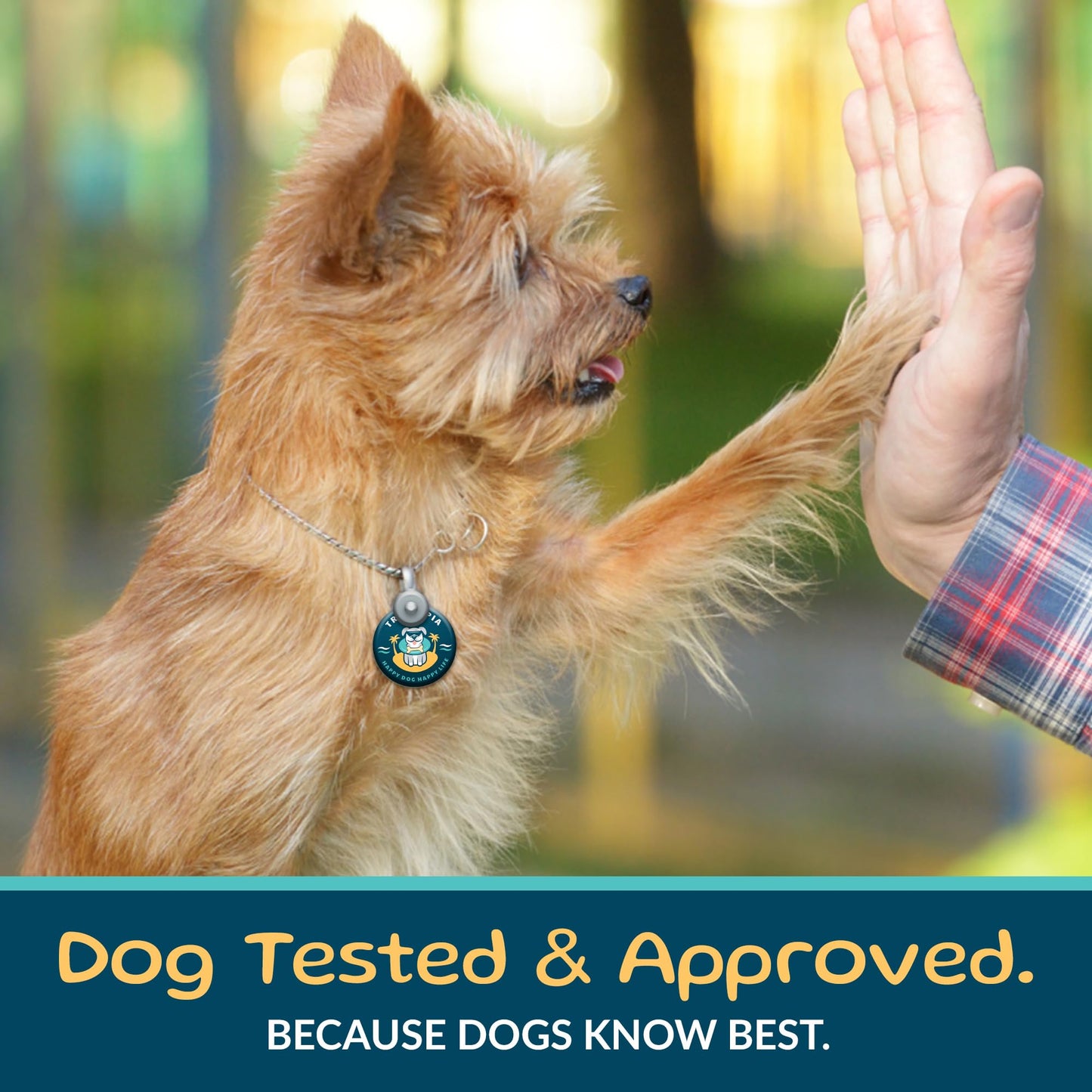 TREATOPIA Beef Lung Nuggies Dog Treats - All-Natural, Sustainable, Healthy, High Protein, Hand-Trimmed, Slow-Roasted, Made in The USA, Nutritious, No Additives, No Fillers