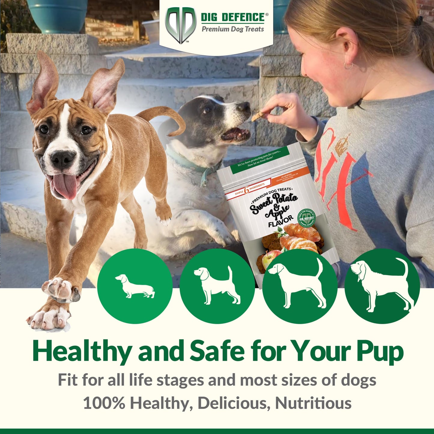 Dig Defence Premium Dog Treats - Pumpkin/Green Pea and Sweet Potato/Apples, Natural Ingredients, Baked Gourmet Snacks for Small & Big Dogs, Healthy Training Treat, 2 Pack