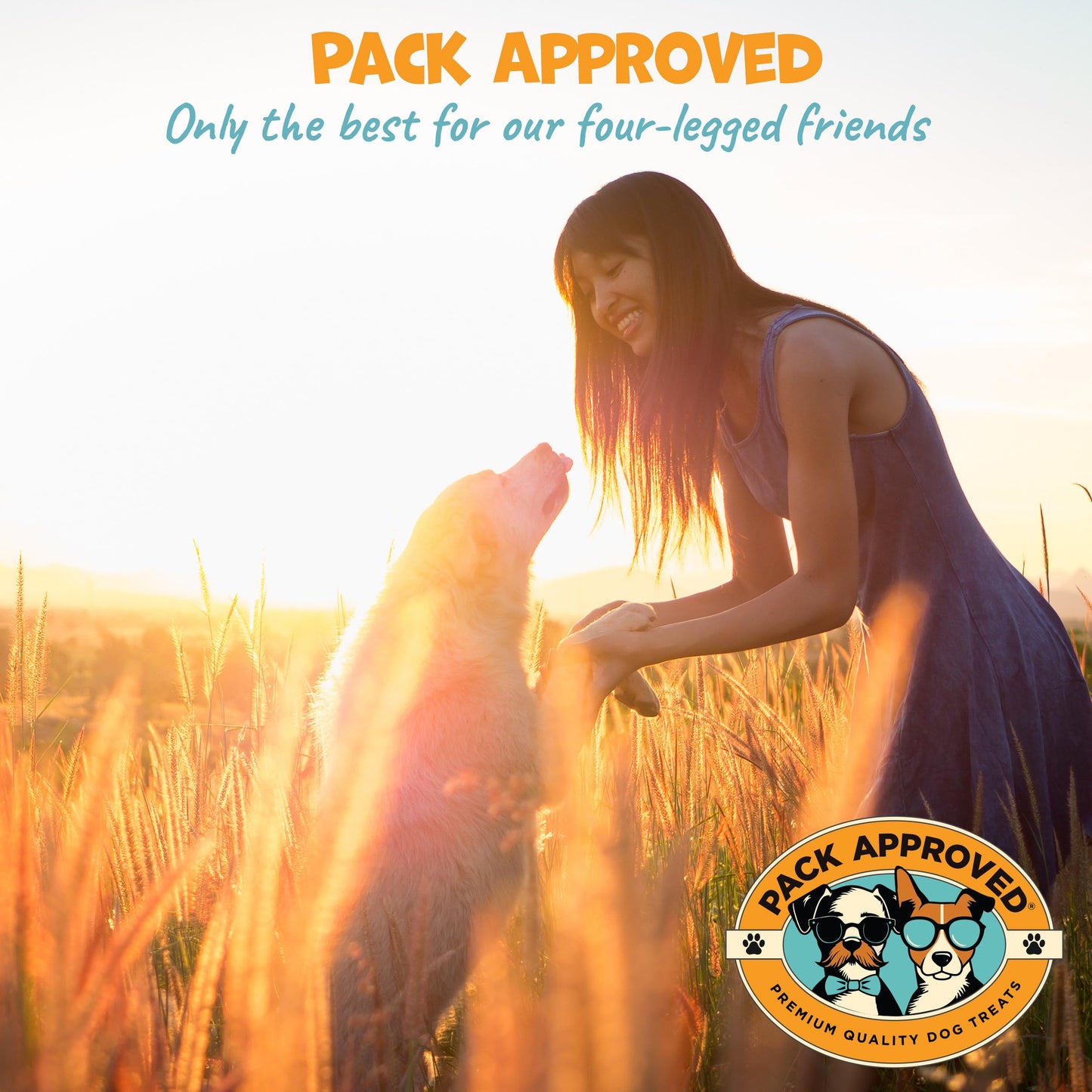 Pack Approved Sweet Potato Dog Treats Made in USA - Single Ingredient Dog Treat - Dehydrated Sweet Potato Fries, Perfect for Dogs of All Breeds and Sizes - 7.5 oz