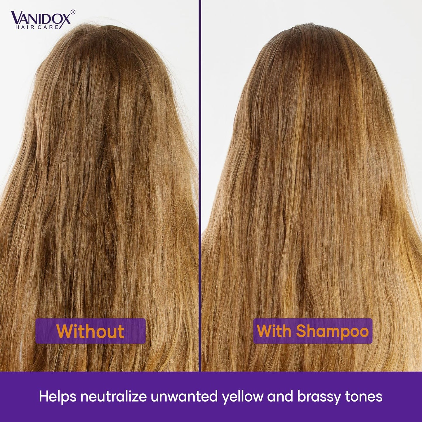 VANIDOX Sulfate Free Brass Toning Purple Shampoo for Blondes, Brown Highlighted, or Bleached Hair, Infused with Purple Rice Extract, Hyaluronic Acid, Vitamin E, and Chamomile Extract (16 fl oz)
