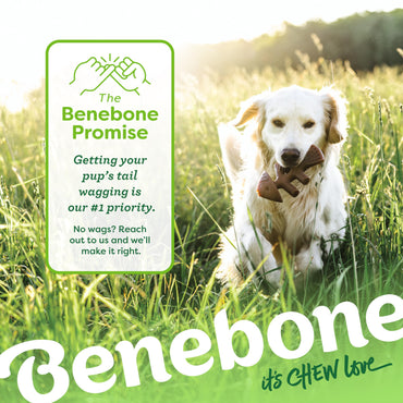 Benebone Set of 1 Fishbone/Wishbone Durable Dog Chew Toys, Real Fish, Real Bacon, Made in USA