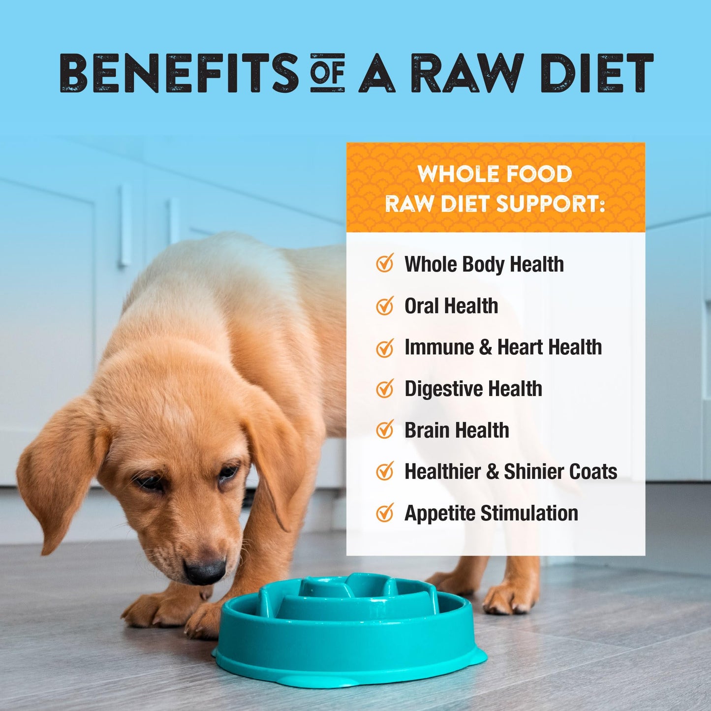 Northwest Naturals Freeze - Grain Free Dog Food - Bite-Sized Nuggets - Healthy - Limited Ingredients, Human Grade Dog Food - All Natural - Made in The USA