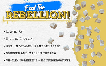 PETS ON STRIKE Freeze Dried Chicken Breast for Dogs & Cats – Single Ingredient Dog Treats – USA Sourced & Made – High Protein, All Natural, Grain Free – Raw Freeze-Dried Training Treats (3oz)