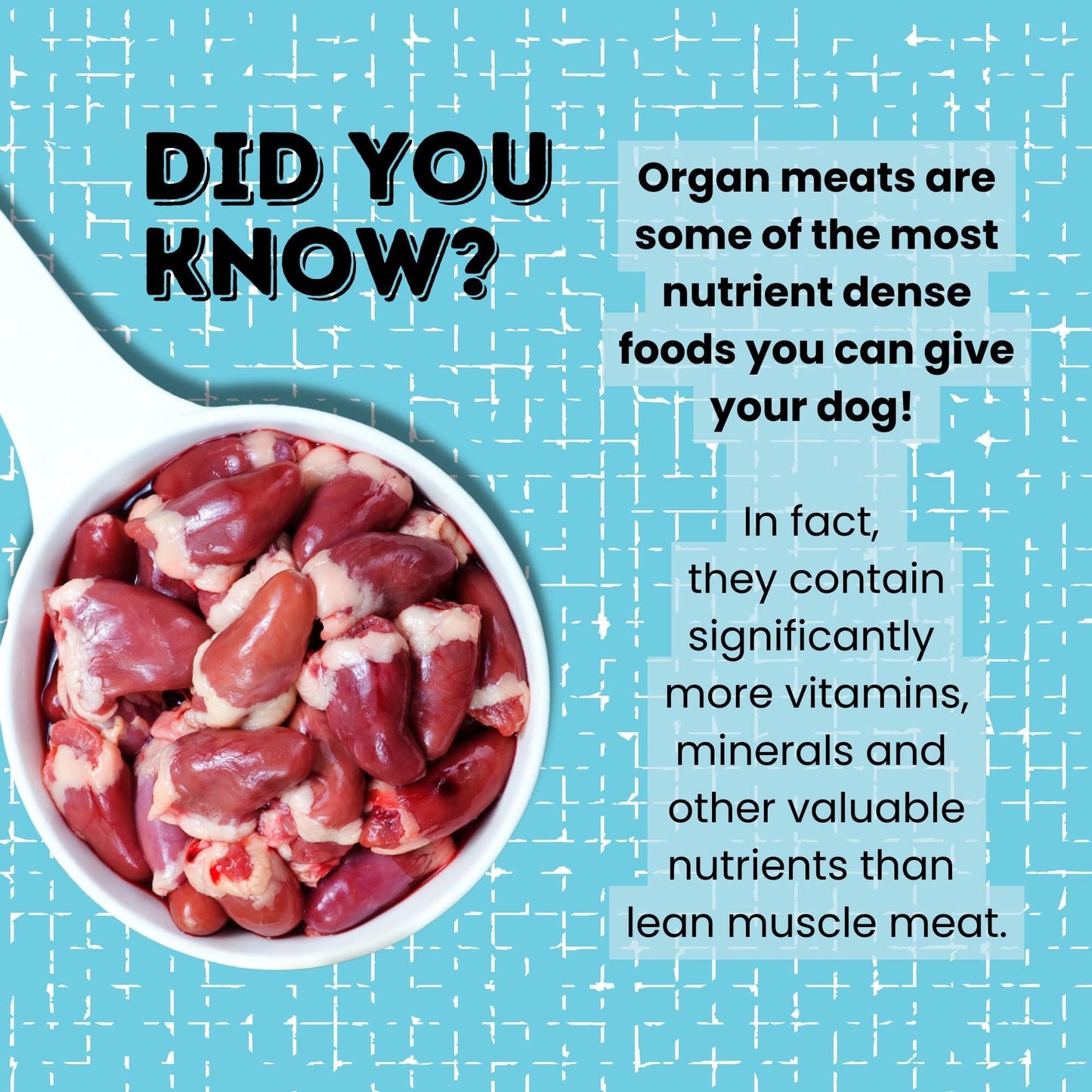 hotspot pets Freeze Dried Chicken Treats for Cats & Dogs -1LB Big Bag- Resealable Bag- Single Ingredient -Made in USA-All Natural Grain-Free Chicken Breast- Perfect for Training, Topper or Snack
