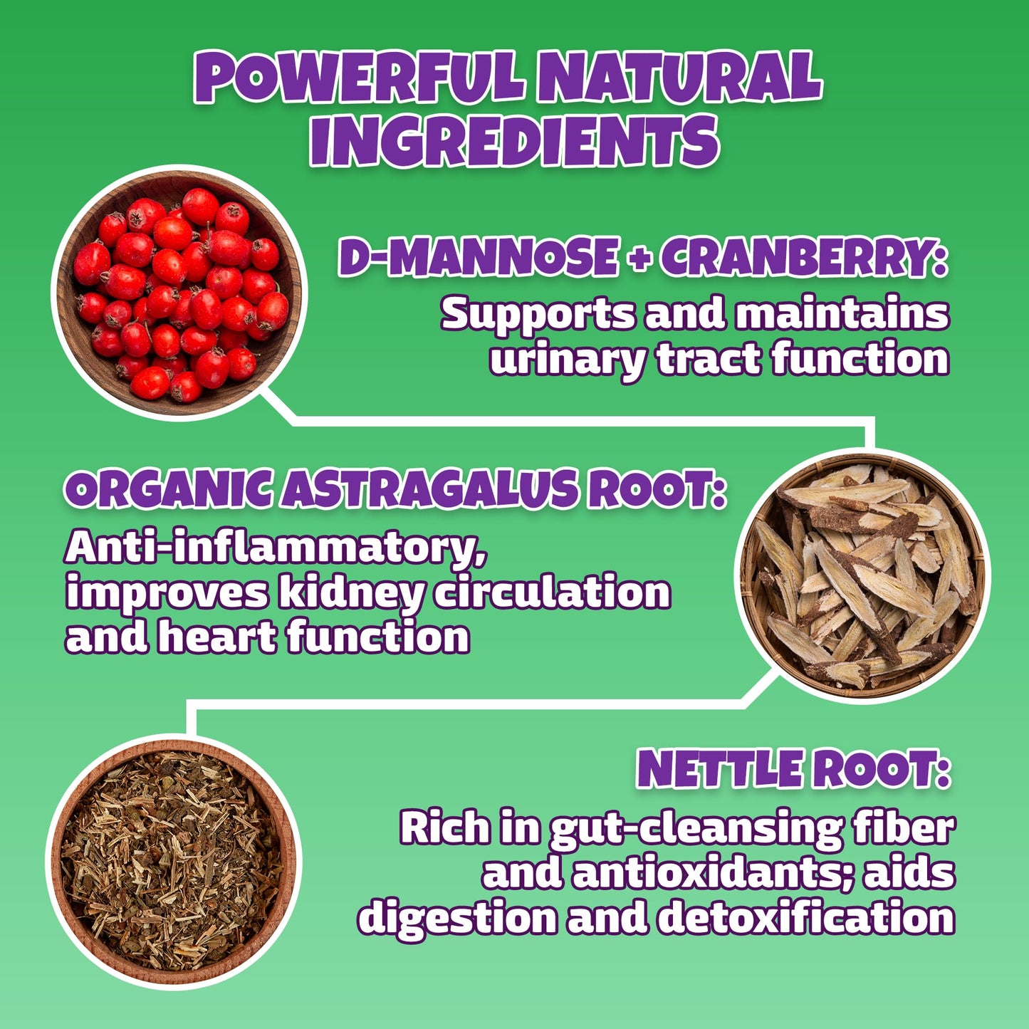 Natural Dog & Cat UTI Treatment with Cranberry & D-Mannose, Bladder, Kidney, Incontinence Support, Healthy Urinary Tract for Dogs, Best Cat Urinary Tract Infection Treatment, Easy-to-Use Drops, 2 oz
