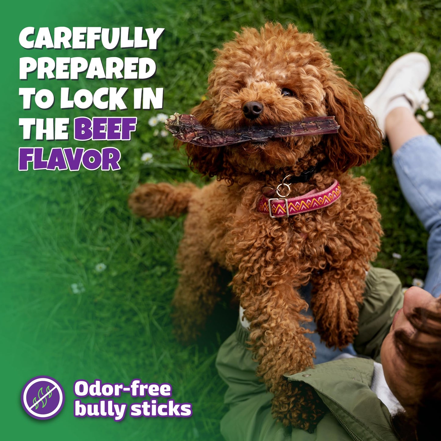 Bully Sticks for Dogs Sourced & Made in USA, All-Natural Taste, Shape, & Color, 6 inch Pizzle Sticks, Bully Bones for Small and Medium Dogs, Includes 12 to 14 Rawhide-Free Treats Per Bag, 8oz