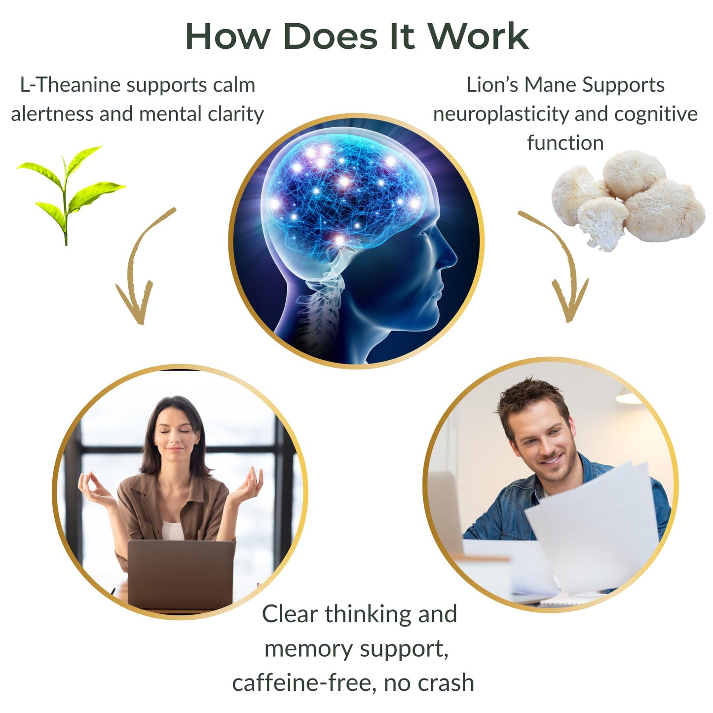 Lion’s Mane Mushroom Gummies 10:1 Extract & L-Theanine 200mg Nootropic Brain Gummies – 30 Day Supply – Memory & Focus Support – Calm Energy – Vegan, Caffeine Free