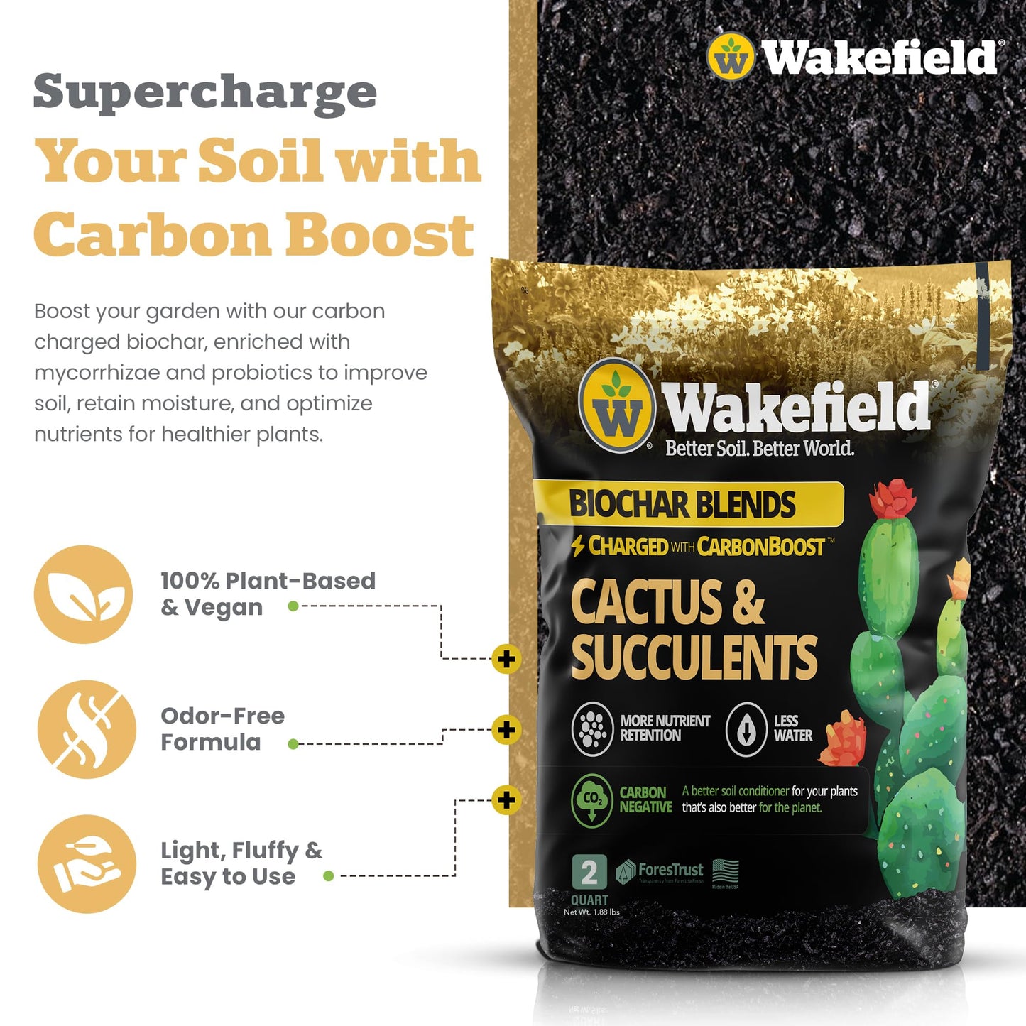 Wakefield Biochar Blend Potting Mix for Cactus & Succulent – Premium Potting Soil Blend with CarbonBoost Technology for Superior Drainage, Moisture Retention & Root Growth – 2 QT Organic Soil Mix