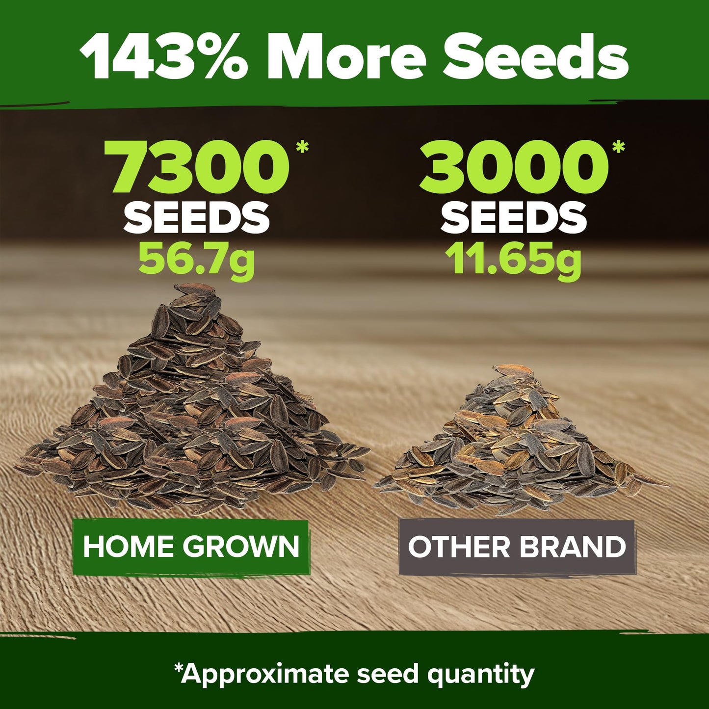 HOME GROWN Zinnia Seeds for 2025 - California Giant Mix - 7,300+ (2 oz) 𝗡𝗢𝗡-𝗚𝗠𝗢 𝗨𝗦𝗔 Plant Wildflower Blooms – Bulk Seeds for Planting Flowers Outside - Pollinator Gardens (Zinnia elegans)