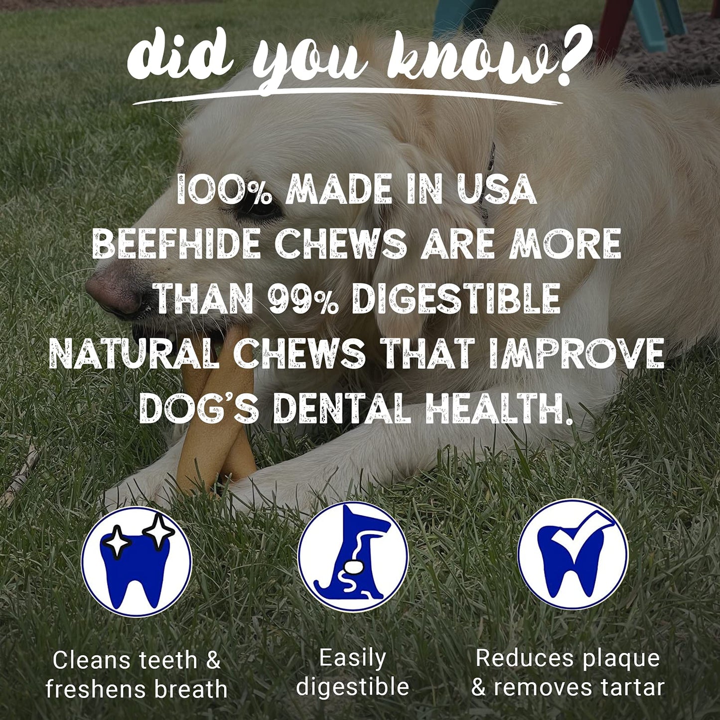 Pet Factory 78130 Beefhide | Dog Chews, 99% Digestive, Rawhides to Keep Dogs Busy While Enjoying, 100% Natural, Peanut Butter Flavored Rolls, Pack of 20 in 5" Size, Made in USA