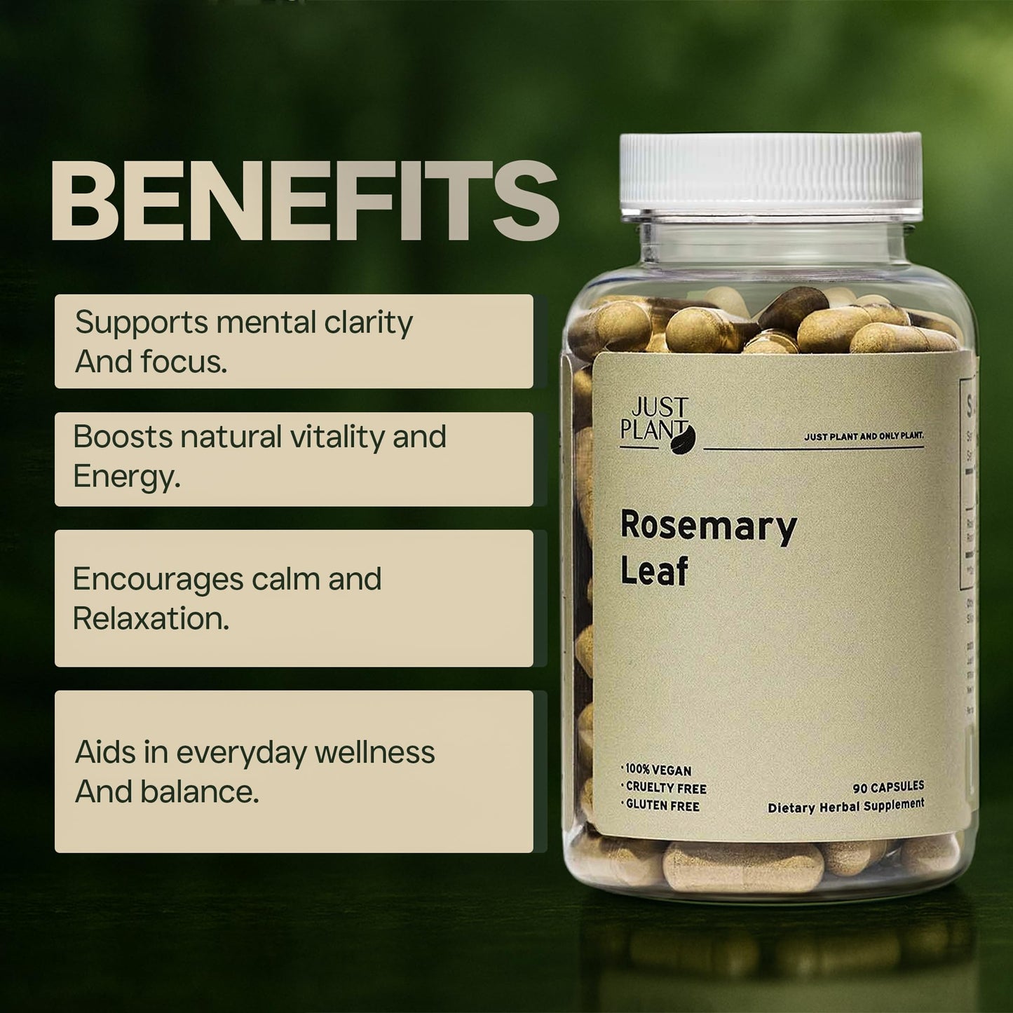 Rosemary Leaf Extract 500mg, 90 Vegan Capsules, Herbal Supplement for Memory, Focus, Digestion, Inflammation & Hair Health, Gluten-Free, Plant-Based