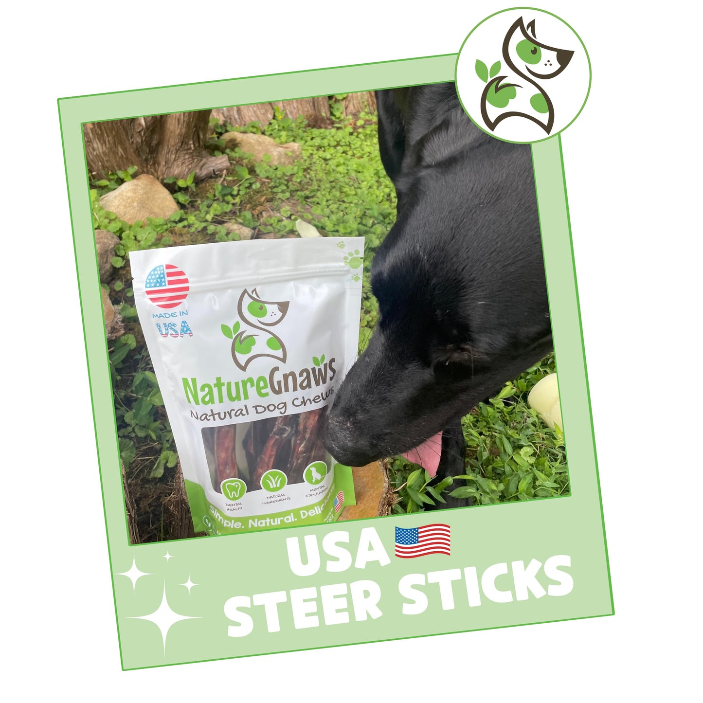 Nature Gnaws USA Steer Sticks for Dogs - Mixed Thickness - Long Lasting for Aggressive Chewers and Large Dogs - Natural Beef Bully Dog Chew Bones
