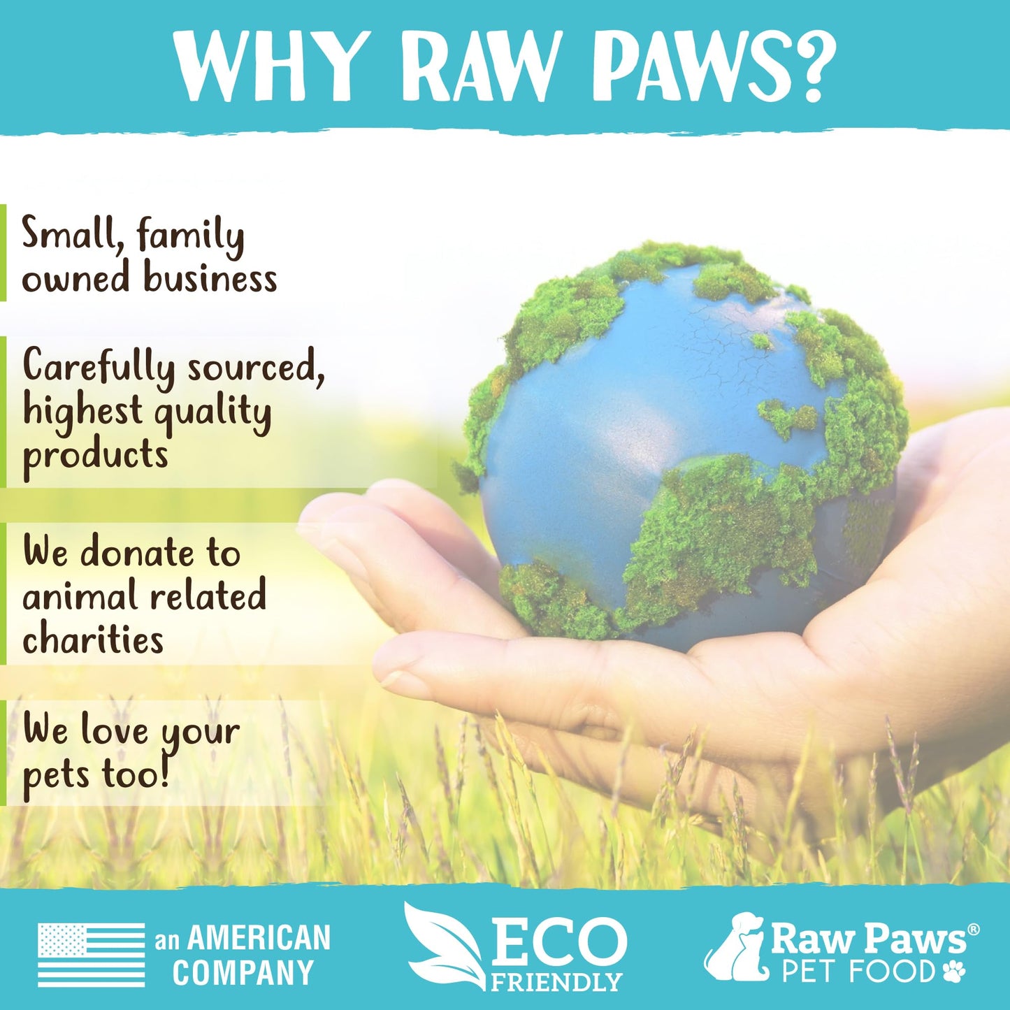 Raw Paws Pet Beef Whole Raw Frozen Marrow Bones for Dogs Large, 12-ct - Made in USA Frozen - Raw Meaty Bones for Large Breeds - Beef Marrow Bone Dogs