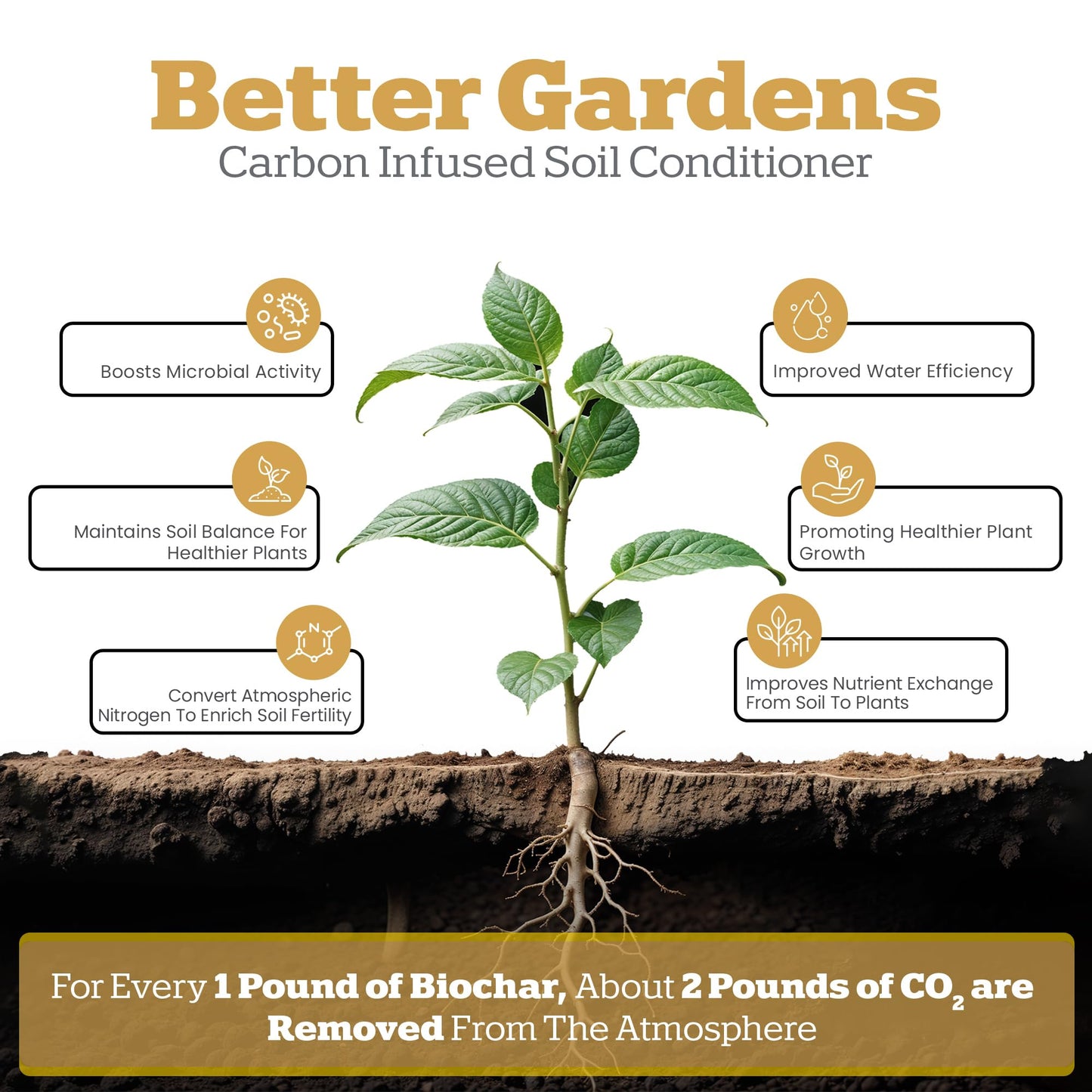 Wakefield Biochar Blend Potting Mix for Cactus & Succulent – Premium Potting Soil Blend with CarbonBoost Technology for Superior Drainage, Moisture Retention & Root Growth – 2 QT Organic Soil Mix